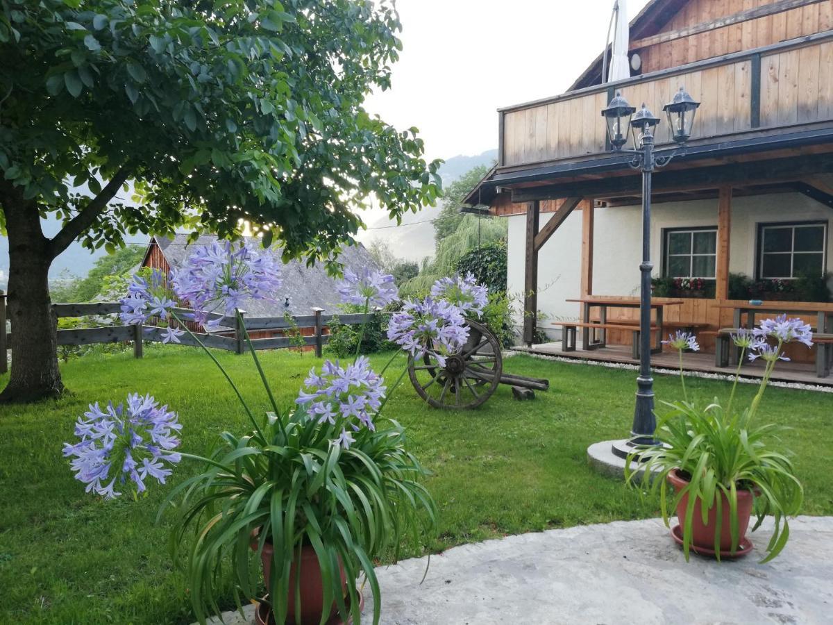 Ortnerhof Ennstal Bed and Breakfast Aigen im Ennstal Eksteriør billede